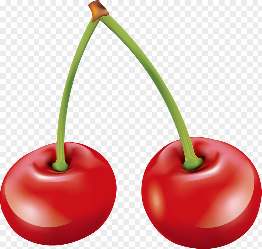 Hand Painted Red Cherry Fruit Food PNG