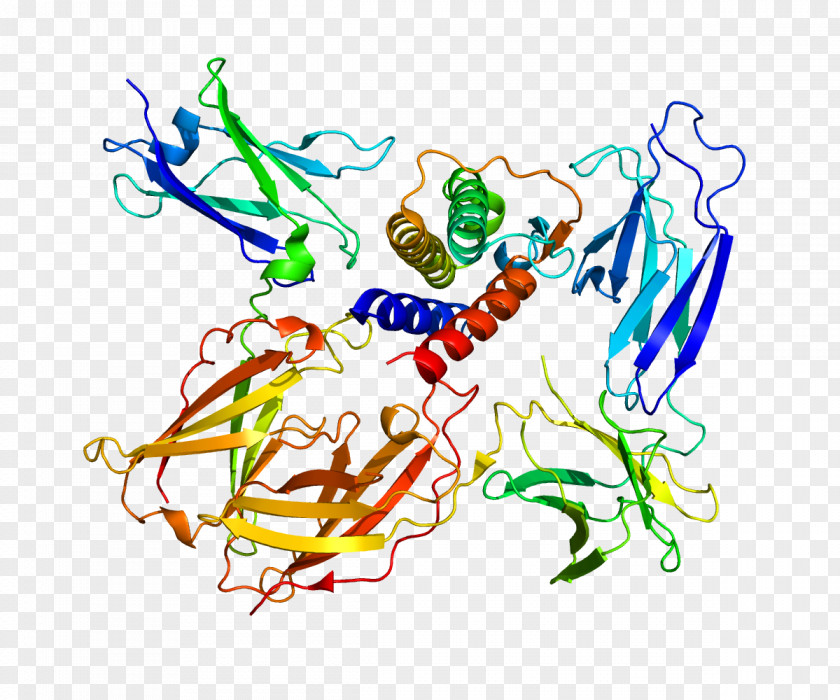 Interleukin-13 Receptor Interleukin 13 Interleukin-4 PNG