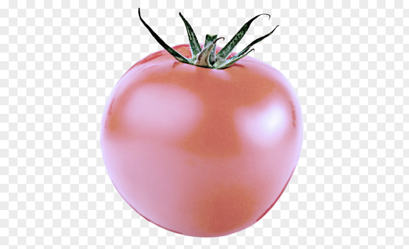 Nightshade Family Food Tomato PNG