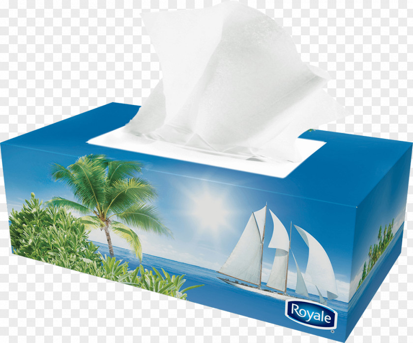 Box Paper Facial Tissues Royale Handkerchief PNG