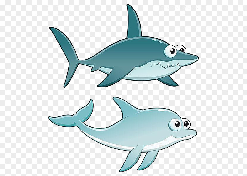 Creative Cartoon Shark Dolphin Royalty-free Illustration PNG