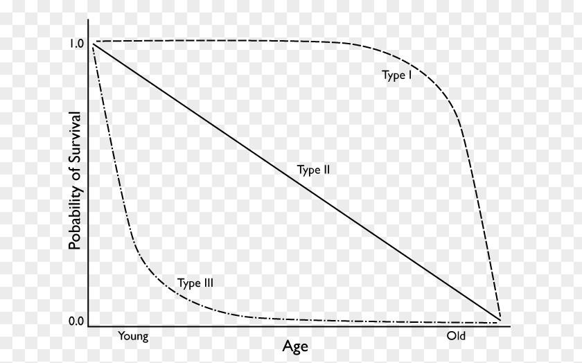 Curve Road Survivorship Graph Of A Function Chart Populace PNG