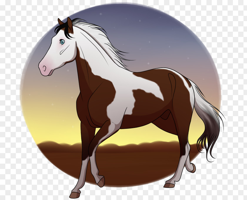 Mirage Background Mustang Foal Stallion Mare Colt PNG