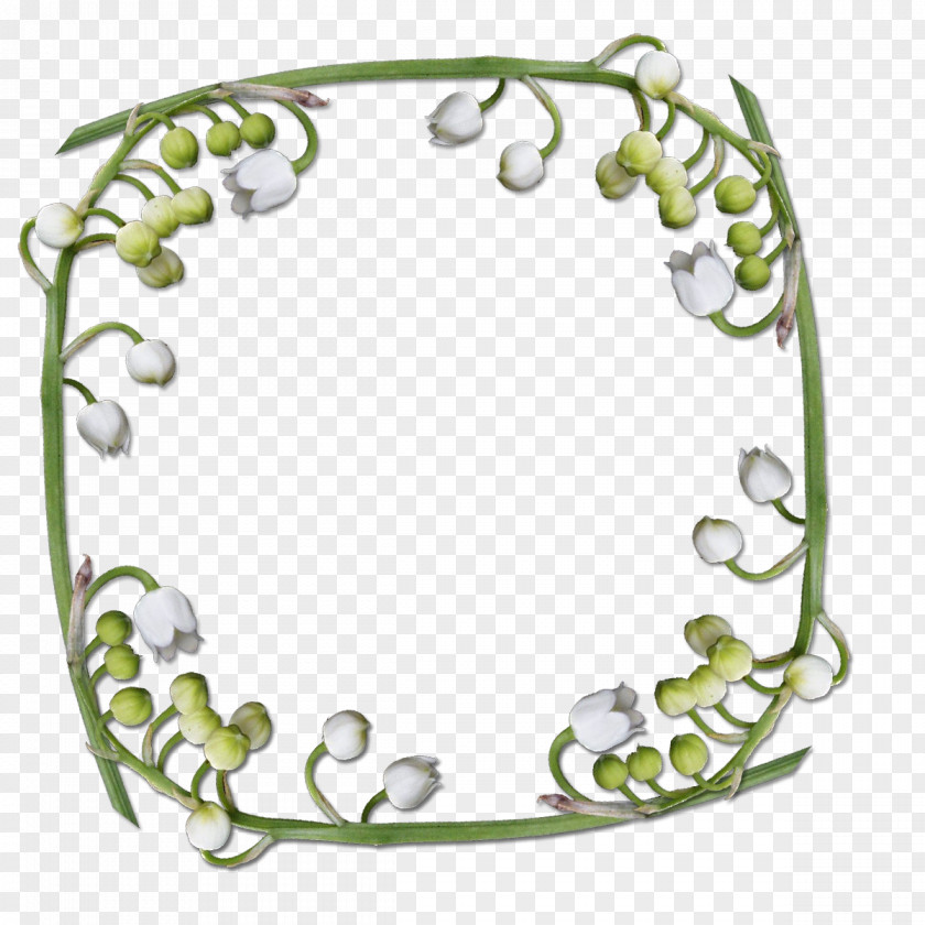 Motifs Picture Frames Lily Of The Valley Clip Art PNG
