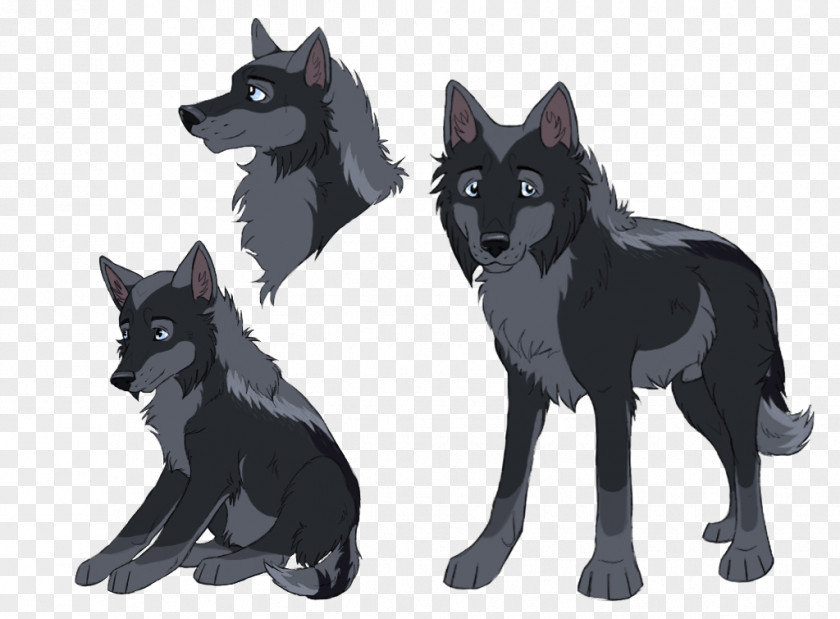 Boon Schipperke Dog Breed Character Group (dog) PNG