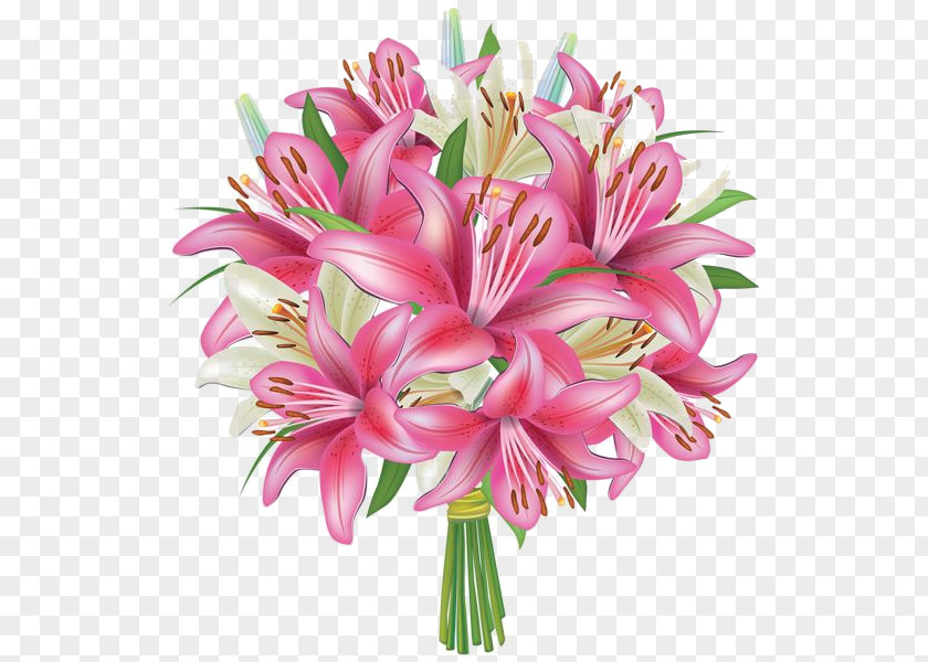 Flower Bouquet Lilium Lily 'Stargazer' Clip Art PNG