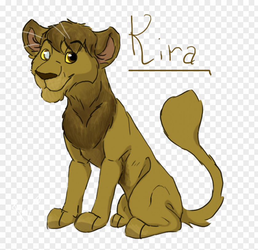 Lion Felidae Mammal Big Cat PNG
