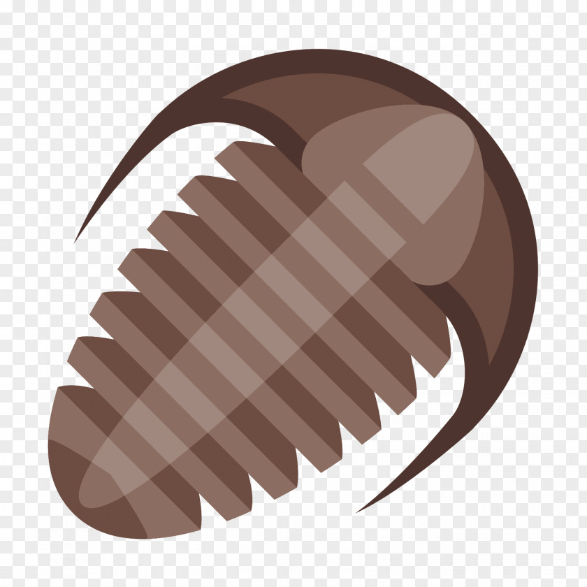 Shelled Trilobite Fossil Clip Art PNG