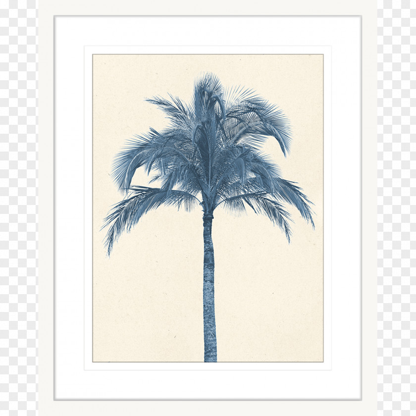 Coconut Arecaceae Tree Stock Photography Date Palm PNG