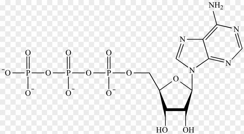 Energy Adenosine Triphosphate Monophosphate Chemistry PNG