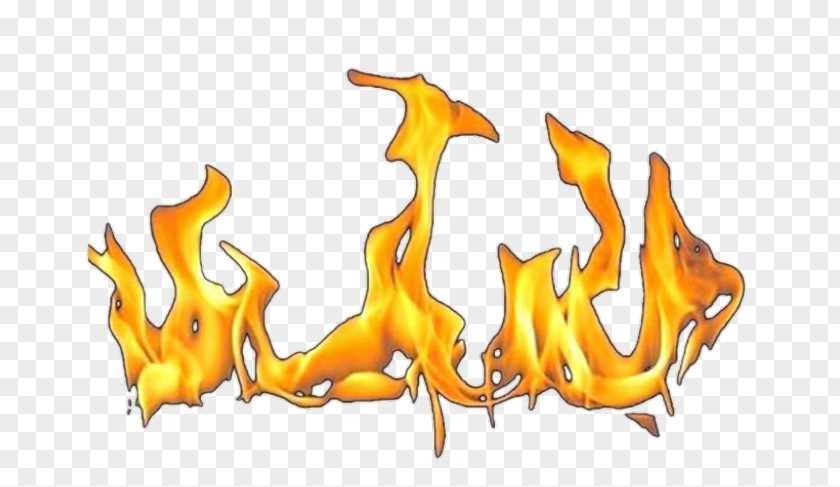 Flame Clip Art Image Stock.xchng PNG