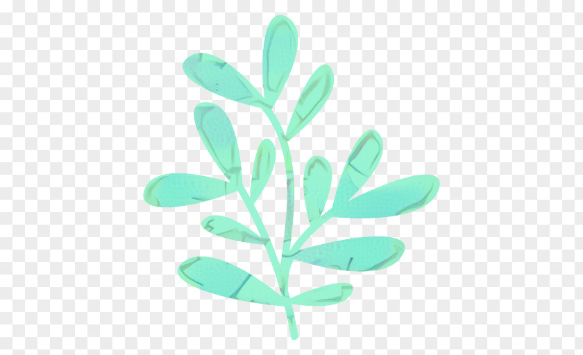 Leaf Image Plants Illustration PNG