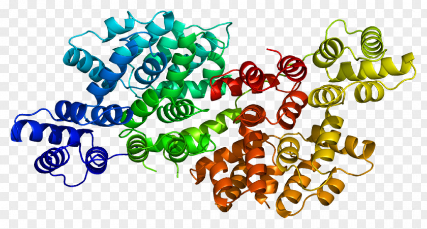 Melanosome ANXA6 Annexin Gene Protein Clip Art PNG