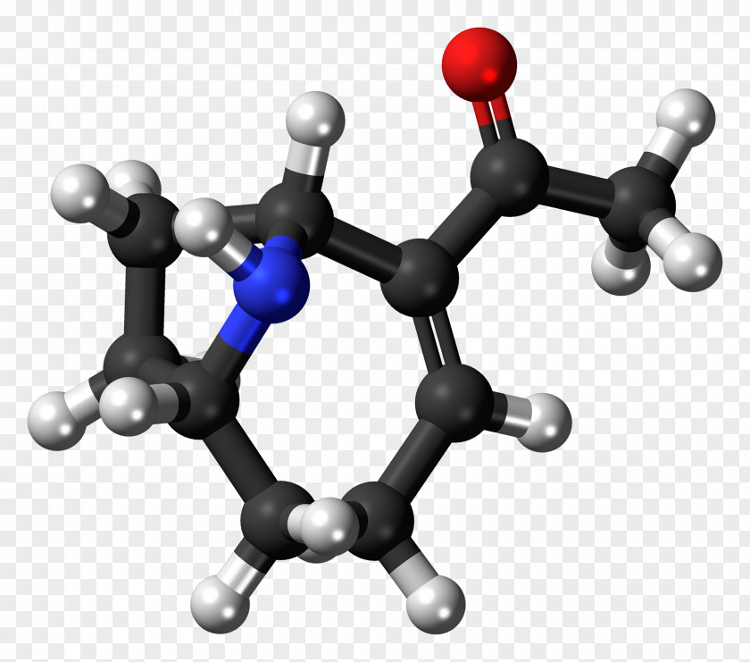Molecule Anatoxin-a Ball-and-stick Model Phthalic Acid Chemistry PNG