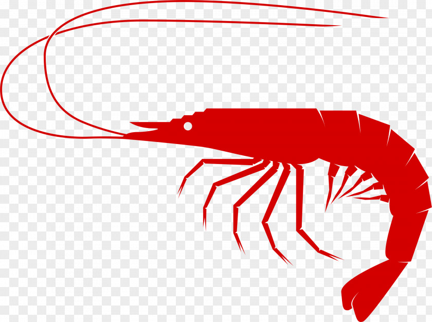 Shrimp And Prawn As Food Seafood PNG and prawn as food , crab clipart PNG