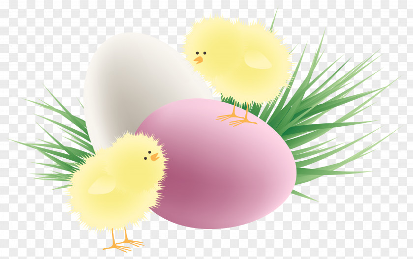 Transparent Easter Chickens Eggs And Grass Clipart Picture Chicken Red Egg Clip Art PNG