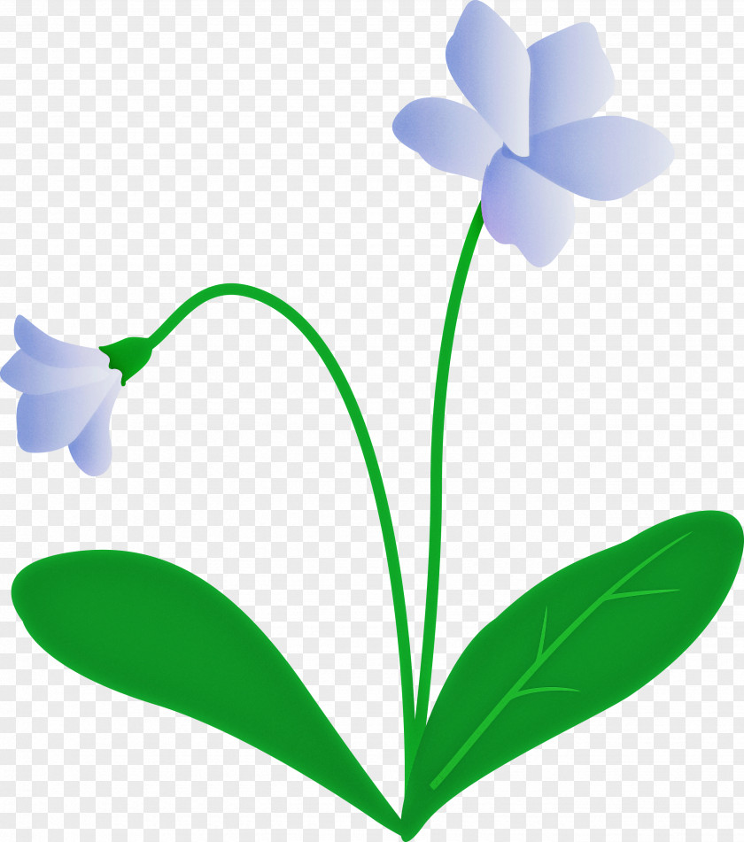 Violet Flower PNG