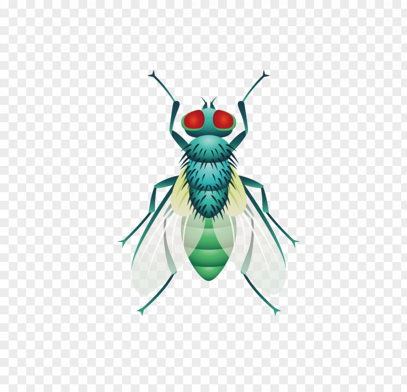 Five Insect Flies Vector Material Fly PNG