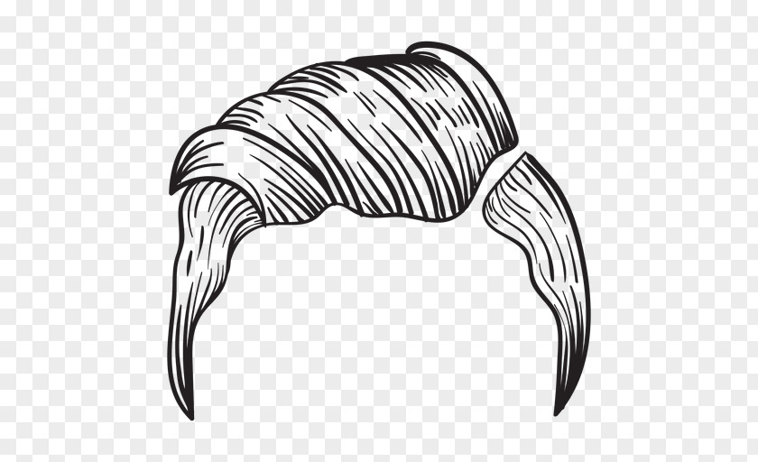 Hairstyles Drawing Dibujo Clip Art Design Illustration Vector Graphics PNG
