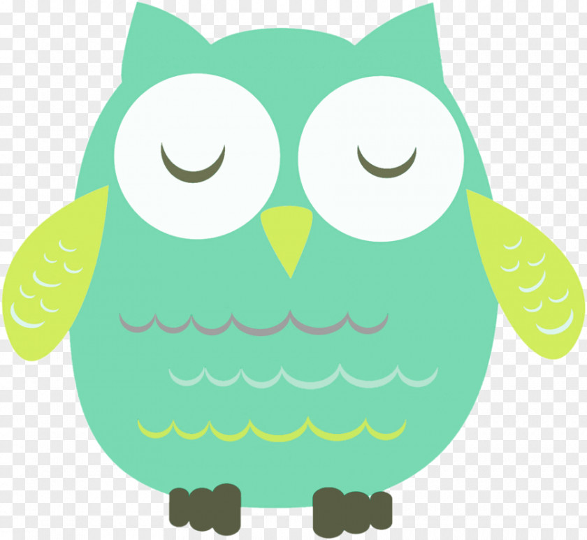Owl Little Drawing Photography PNG