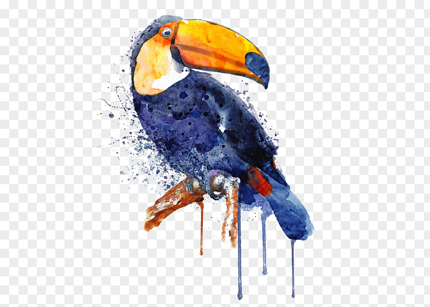 Painting Watercolor Art Toucan Parrot PNG