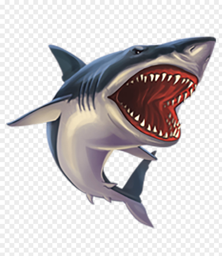 Shark Tiger Great White Clip Art PNG