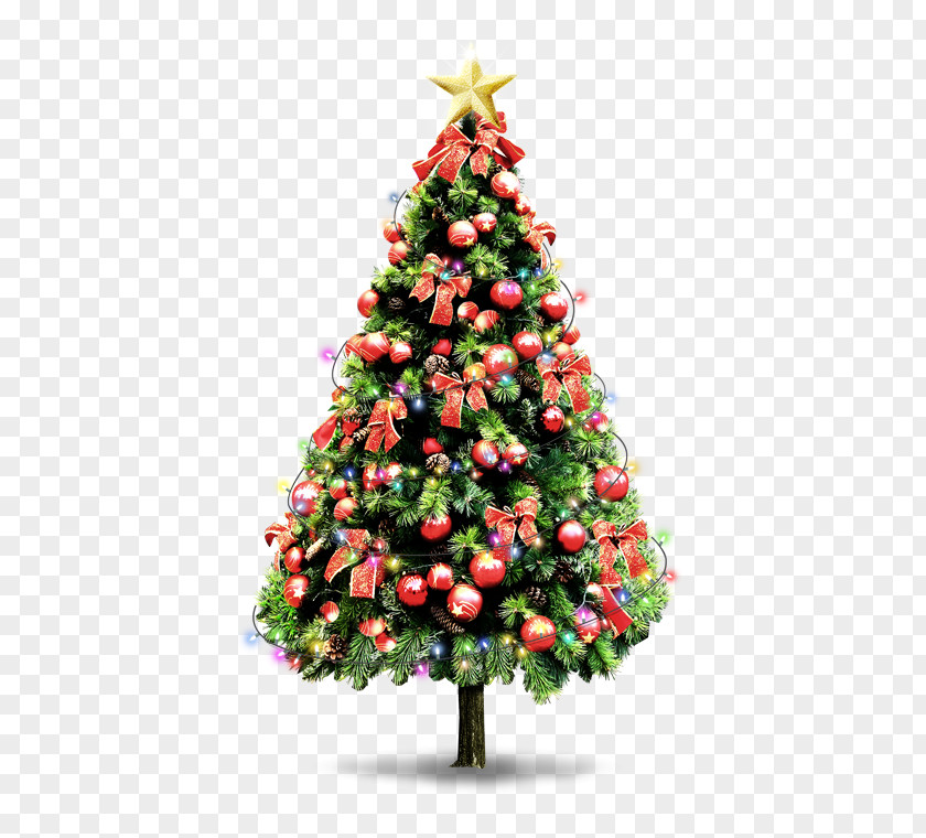 The Christmas Tree Santa Claus Wall Decoration PNG