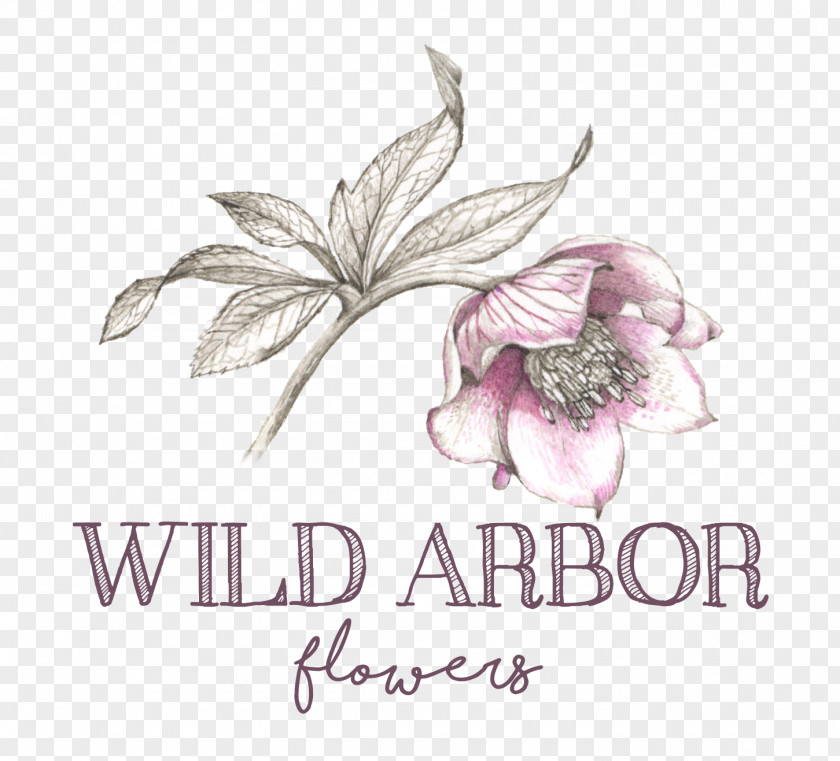 WEDDING FLOWERS Wild Arbor Flowers Floral Design Floristry Cut PNG