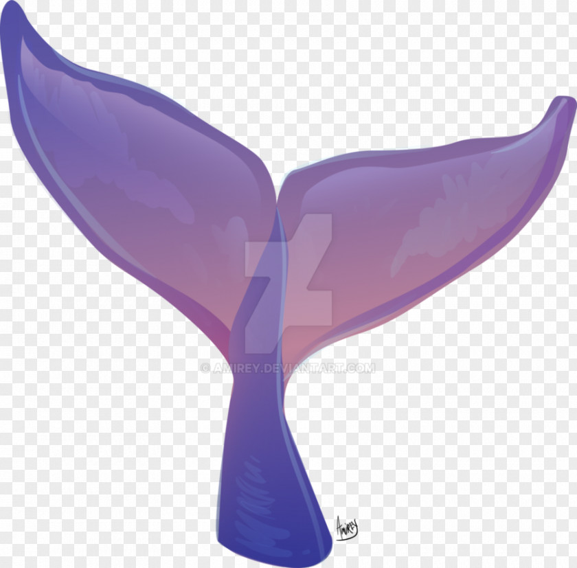 Whale Watercolor DeviantArt Tail Violet Lilac PNG