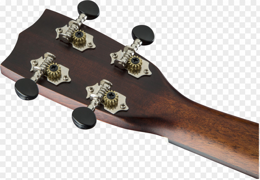 Acoustic Guitar Ukulele Gretsch Cutaway PNG
