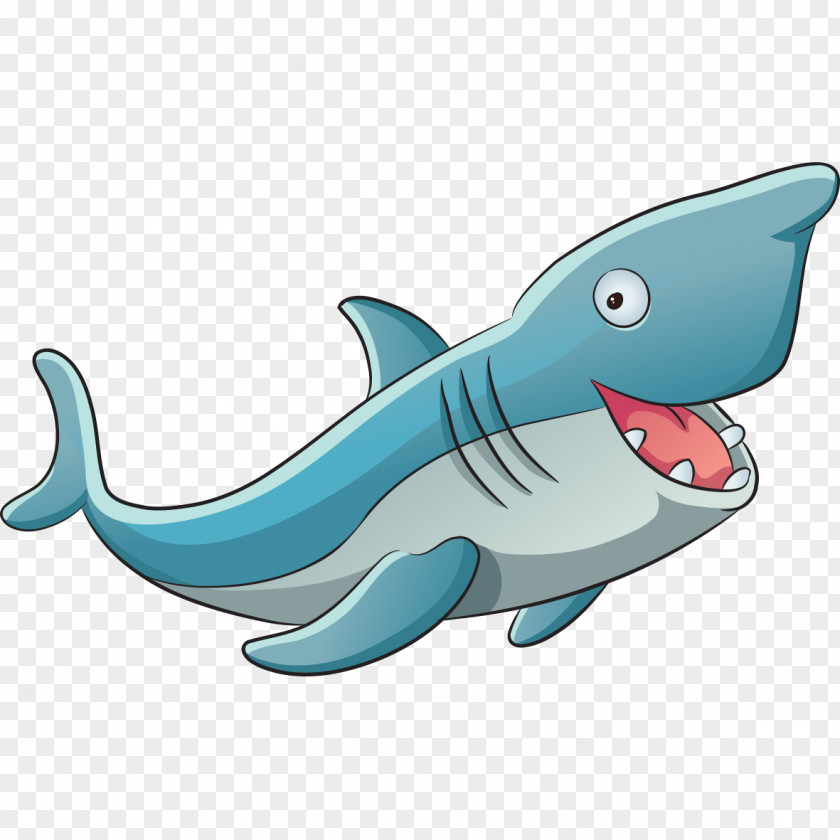 Cartoon Shark Shape Dolphin Child Coloring Book Clip Art PNG