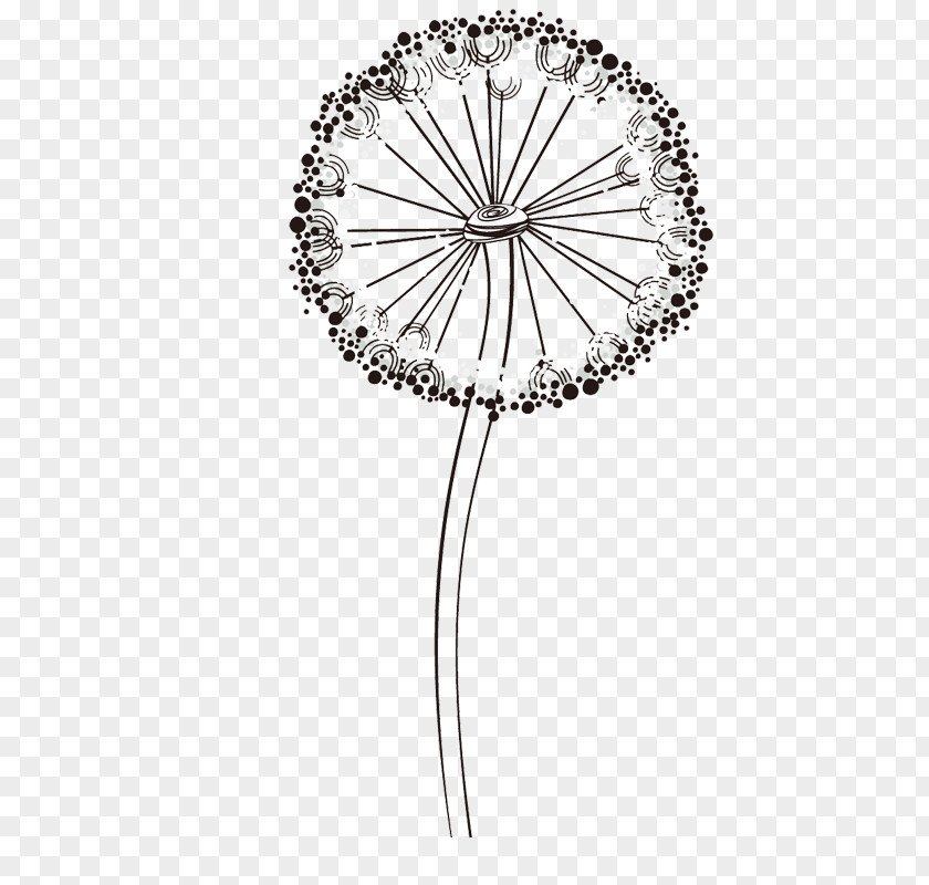 Dandelion Taraxacum Platycarpum Common Illustration PNG