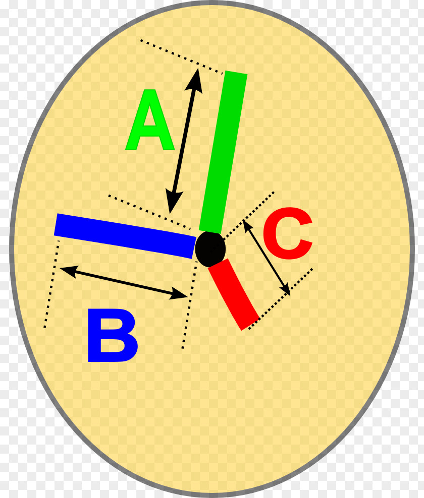 Finding Center Of Circle Formula Clip Art Brand Logo Product Design PNG