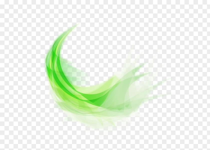 Green Abstract Art Painting Feather PNG