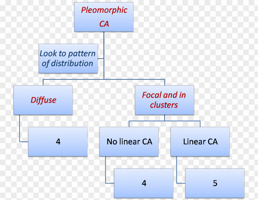 Line Brand Point Organization PNG