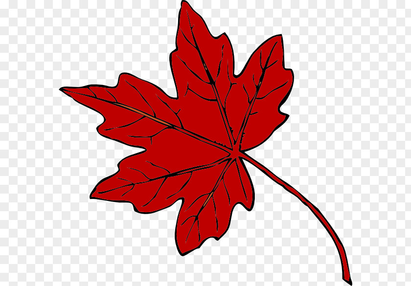 Maple Clipart Leaf Green Clip Art PNG