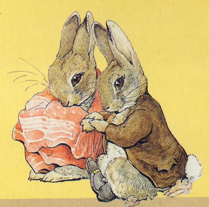 Peter Rabbit The Tale Of Benjamin Bunny: A Pop-Up Book Squirrel Nutkin Flopsy Bunnies PNG