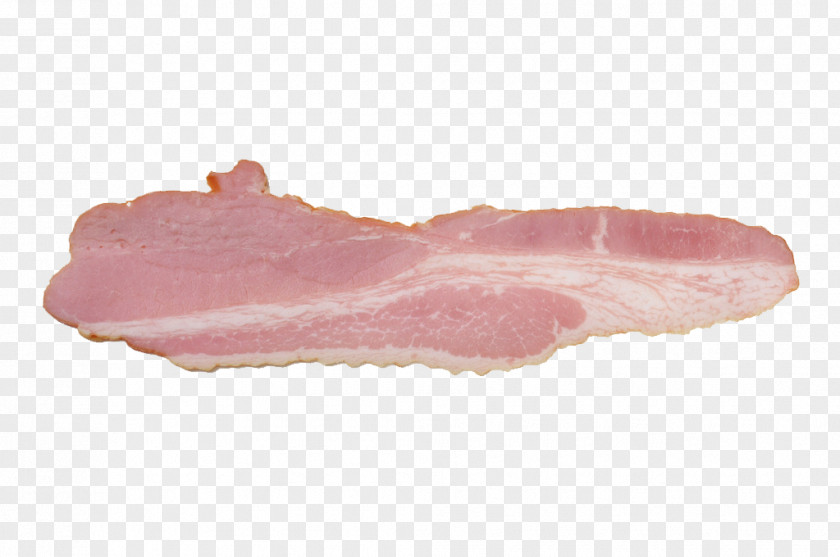 Bacon Vector Meat PNG