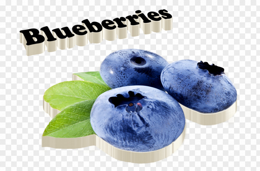 Blueberry Image Photograph Bilberry PNG