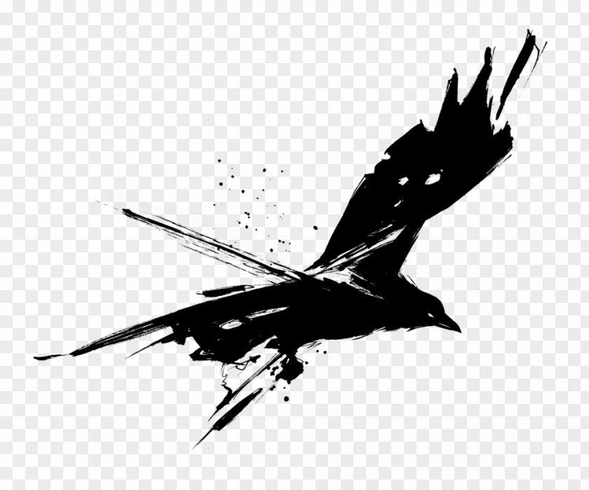 Raven Common T-shirt Drawing Clip Art PNG