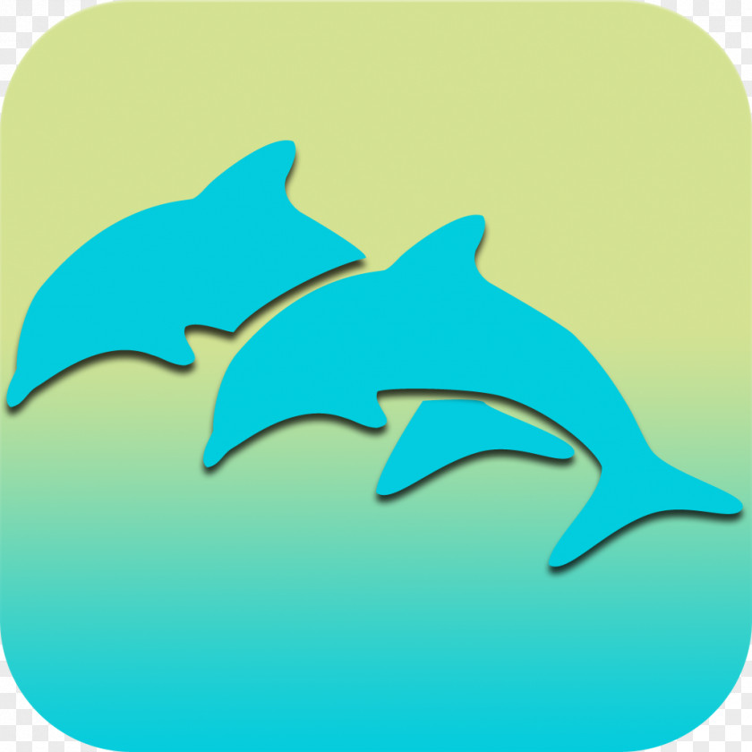Shark Common Bottlenose Dolphin Requiem Clip Art PNG