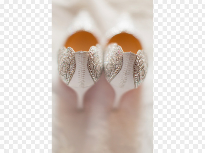 Bridal Shoe Nail PNG