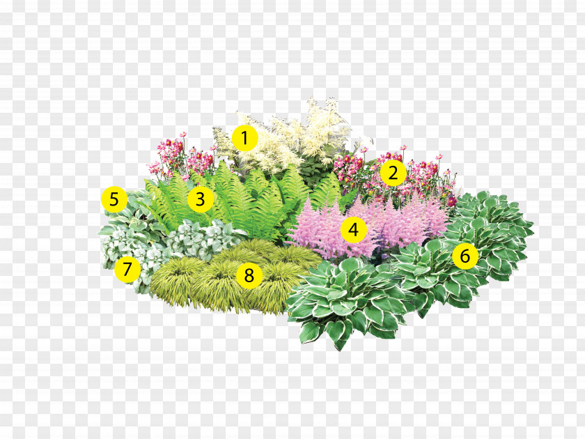 Aureola Bedding Flowerpot Garden Lawn Floral Design PNG