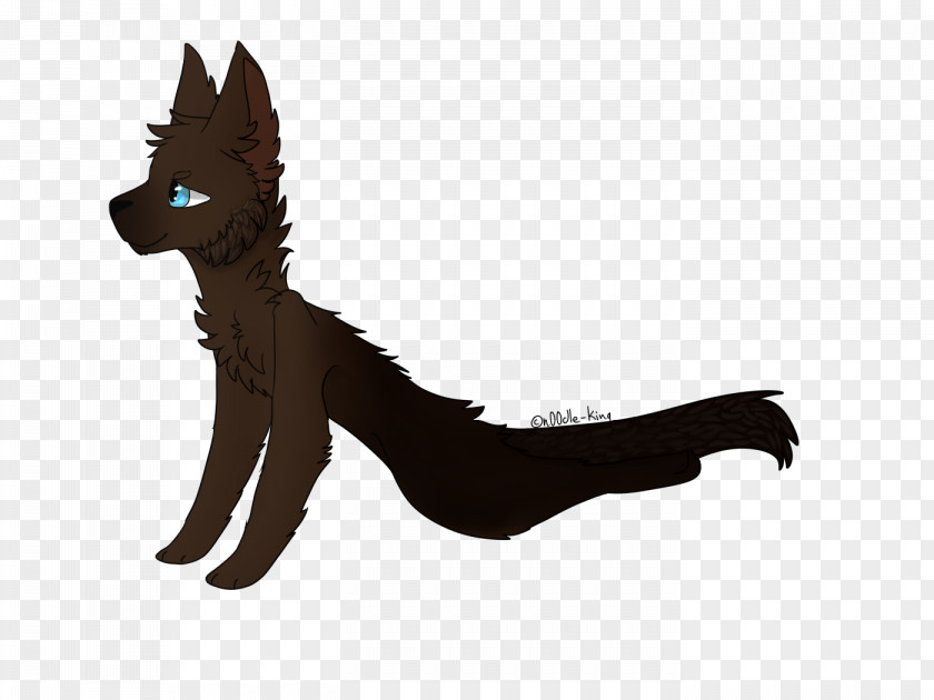Dog Whiskers Cat Fur Paw PNG
