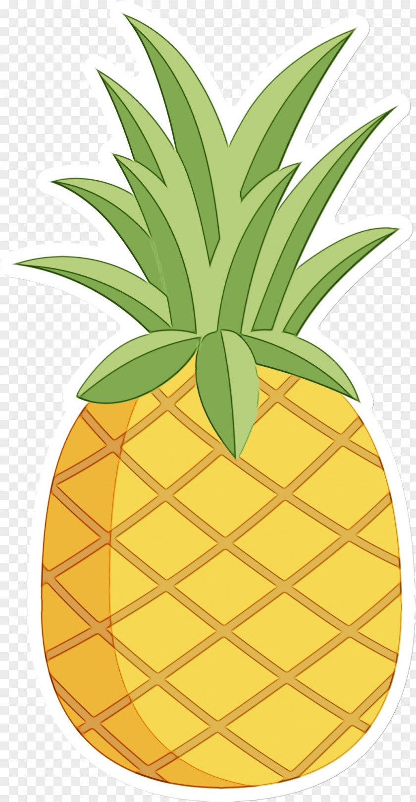 Food Leaf Pineapple PNG