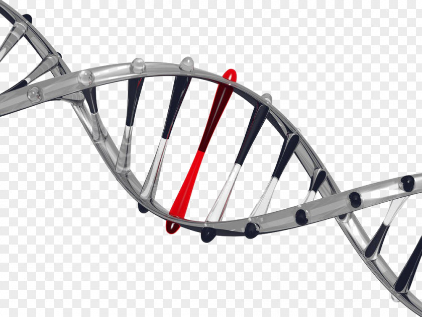 Gene Free Downloads It's In Your DNA: From Discovery To Structure, Function And Role Evolution, Cancer Aging The Moral Code Biology Genetics PNG