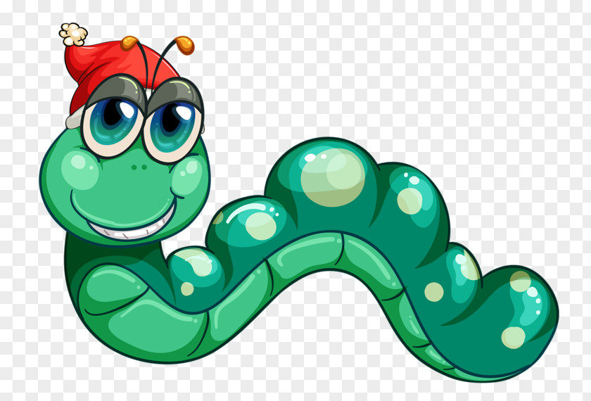 Hat Caterpillar Worm Photography Illustration PNG