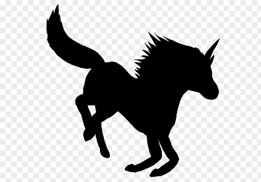 Mule Mustang Stallion Donkey Halter PNG
