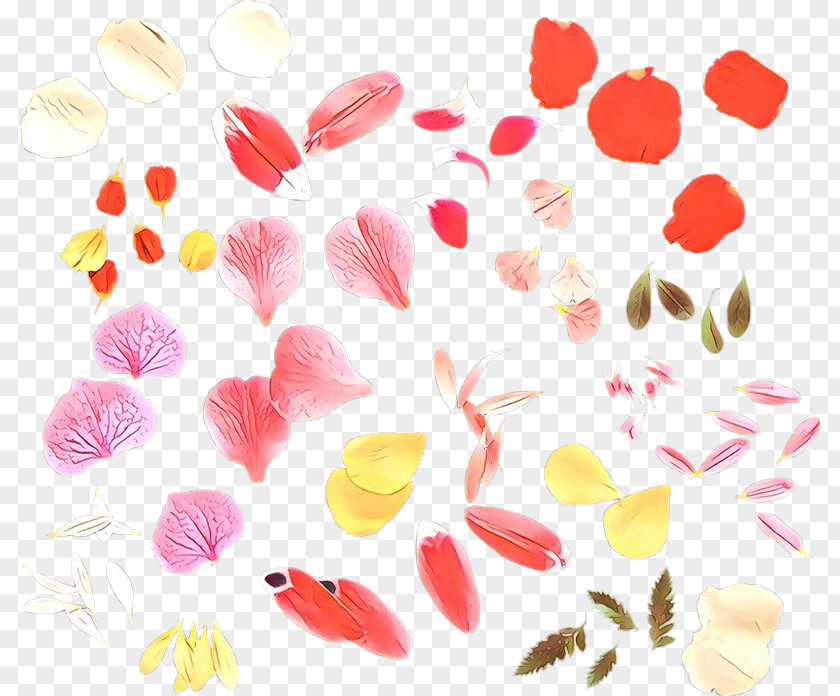 Petal Pink Leaf Plant Pattern PNG