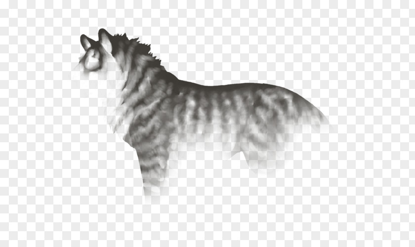 Tiger Whiskers Cat Dog Breed Horse PNG